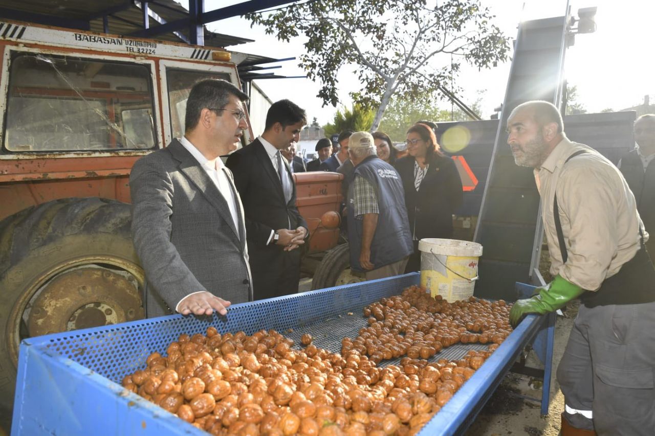 Vali Kırbıyık,”Ceviz Ekili Alanlar Her Yıl Büyüyor”