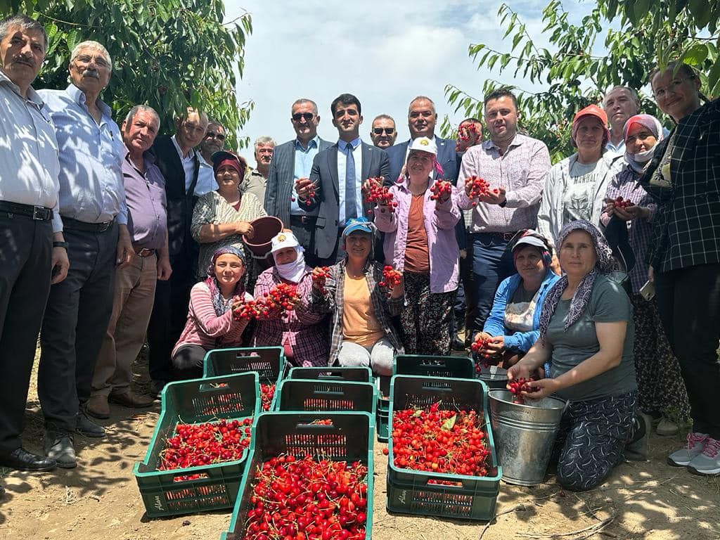 Kirazın Adı “Çeribaşı”