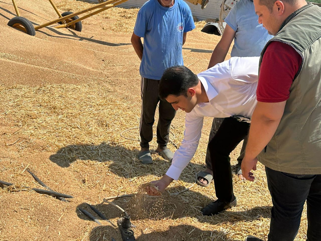 Sevgili, TMO’da İncelemelerde Bulundu.