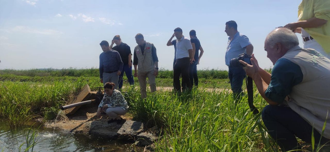 Aksal,İpsala’da  Ayçiçek Tarlalarını İnceledi