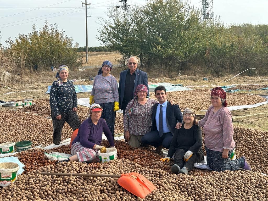 Sevgili, Ceviz Hasat Alanlar?n? Ziyaret Etti.