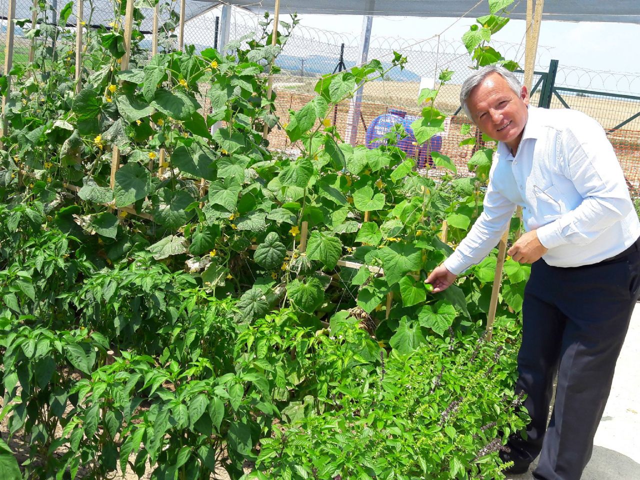 Fuar Alanında Hobi Bahçesi Oluşturuldu