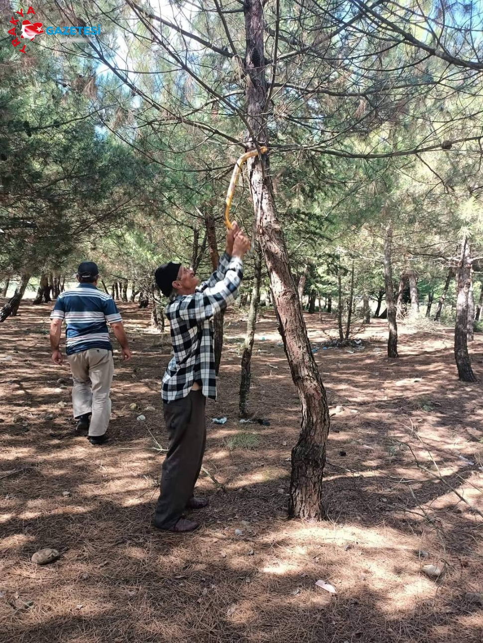 Sultanköy Piknik Alanı Yeniden Düzenlendi.