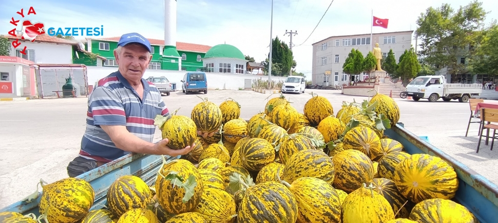 Sultanköy,de“Dalaman” Kavunu Satışa Çıktı