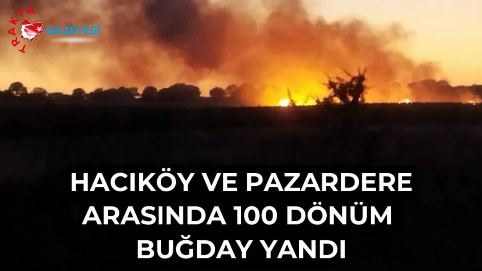 Hacıköy’de 100 Dönüm Buğday Yandı.