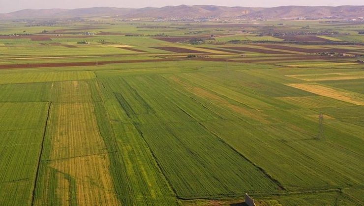 Arazisi İhalesi 12 Aralık’ta yapılacak