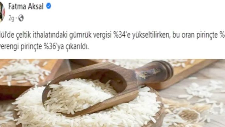 Çeltikte Gümrük Vergisi Yüzde 34’e Yükseltildi