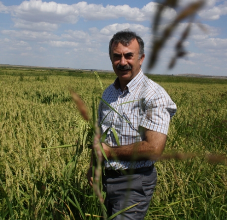 Şimşek, çeltik sezonunu değerlendirdi