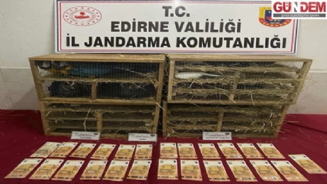 Jandarmadan Kaçakçılığın Önlenmesine Yönelik Çalışma