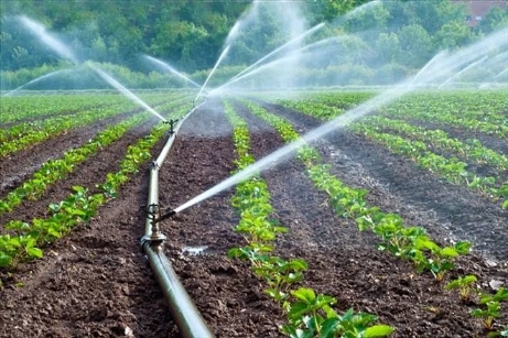 2018 Yılı Kırsal Kalkınma Destekleri için başvurular 1 Ocak itibarıyla başladı